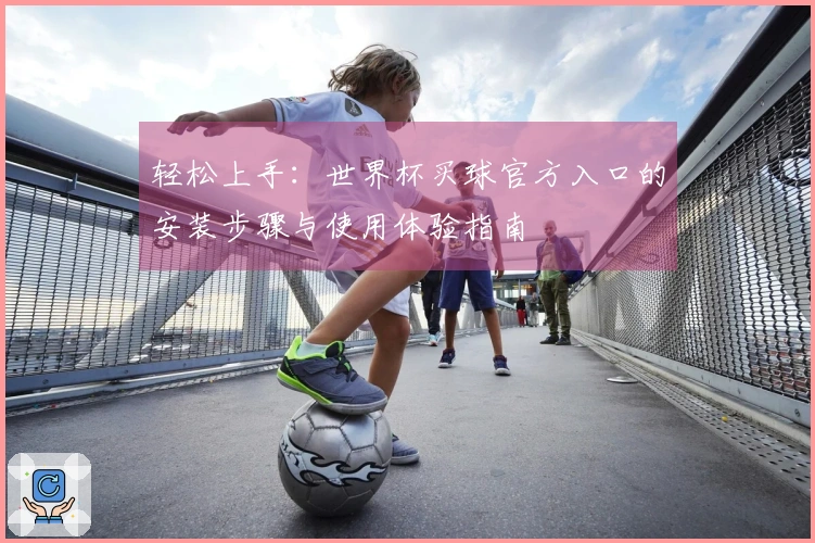 轻松上手：世界杯买球官方入口的安装步骤与使用体验指南