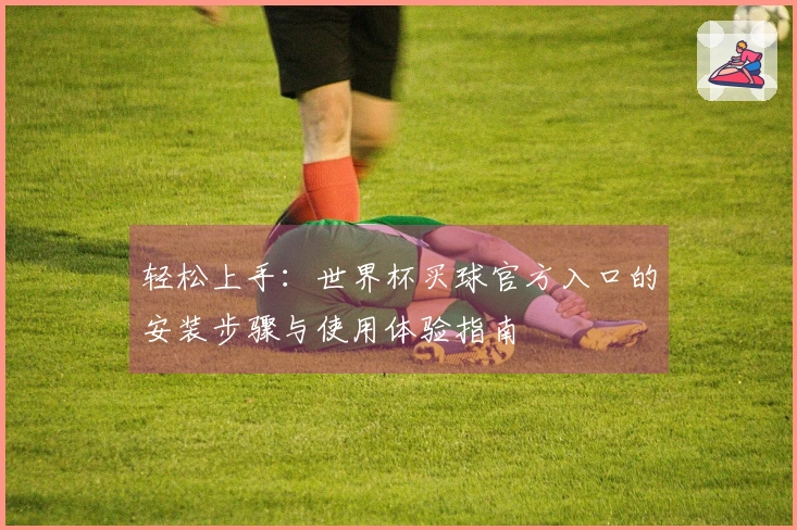 轻松上手：世界杯买球官方入口的安装步骤与使用体验指南