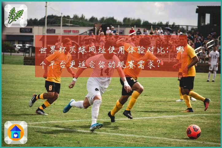 世界杯买球网址使用体验对比：哪个平台更适合你的观赛需求？