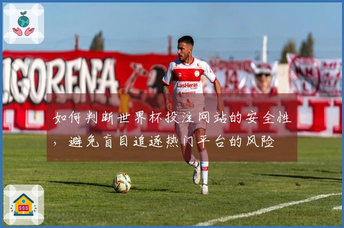 如何判断世界杯投注网站的安全性，避免盲目追逐热门平台的风险