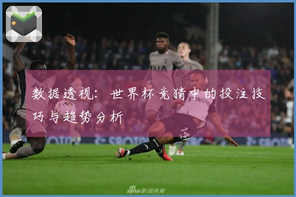 数据透视：世界杯竞猜中的投注技巧与趋势分析
