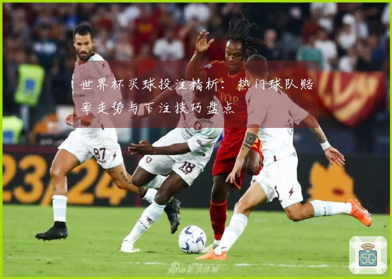 世界杯买球投注精析：热门球队赔率走势与下注技巧盘点