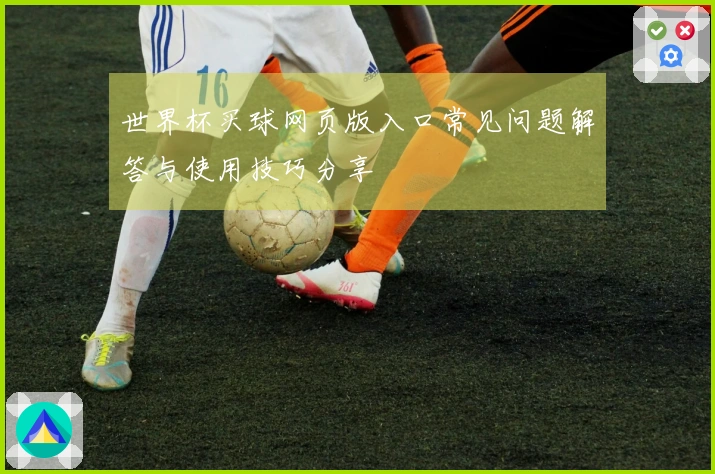 世界杯买球网页版入口常见问题解答与使用技巧分享