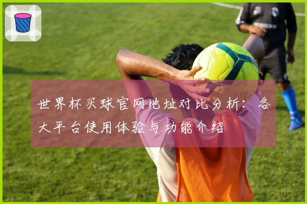 世界杯买球官网地址对比分析：各大平台使用体验与功能介绍