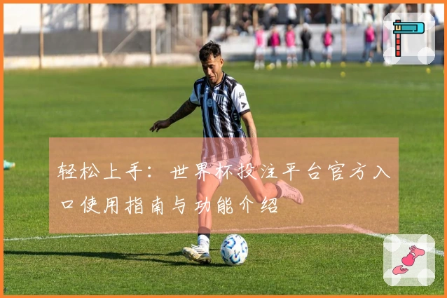 轻松上手：世界杯投注平台官方入口使用指南与功能介绍