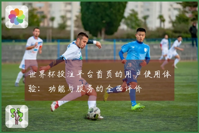 世界杯投注平台首页的用户使用体验：功能与服务的全面评价