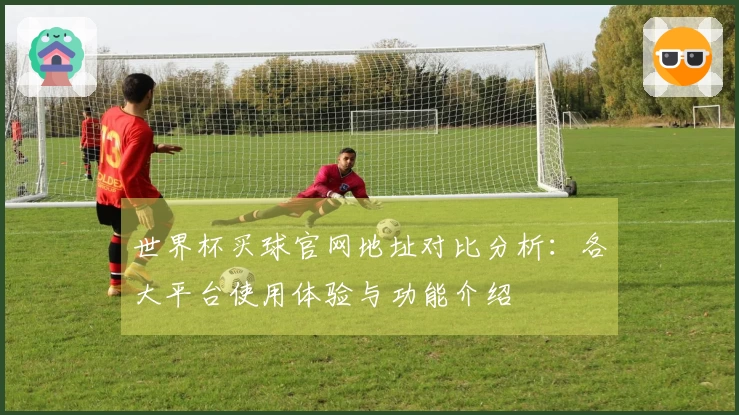世界杯买球官网地址对比分析：各大平台使用体验与功能介绍