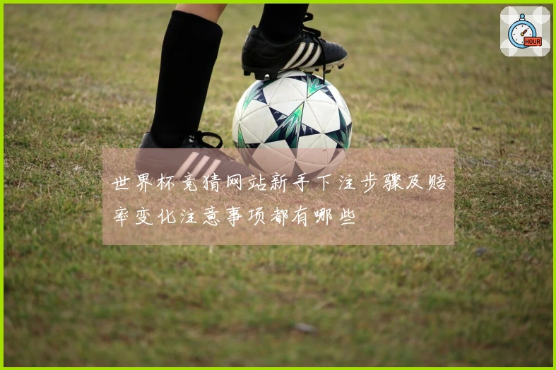 世界杯竞猜网站新手下注步骤及赔率变化注意事项都有哪些