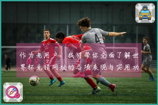作为老用户，我将带你全面了解世界杯竞猜网址的各项表现与实用功能