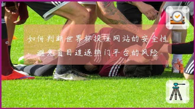如何判断世界杯投注网站的安全性，避免盲目追逐热门平台的风险
