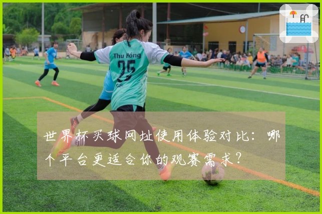 世界杯买球网址使用体验对比：哪个平台更适合你的观赛需求？
