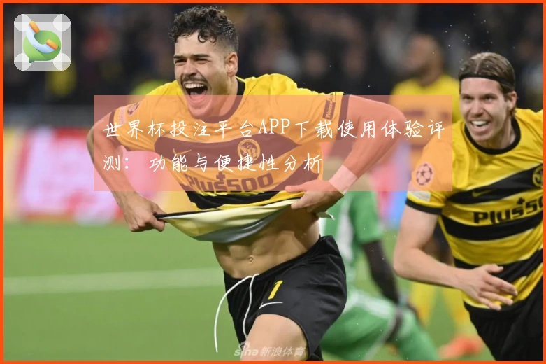 世界杯投注平台APP下载使用体验评测：功能与便捷性分析
